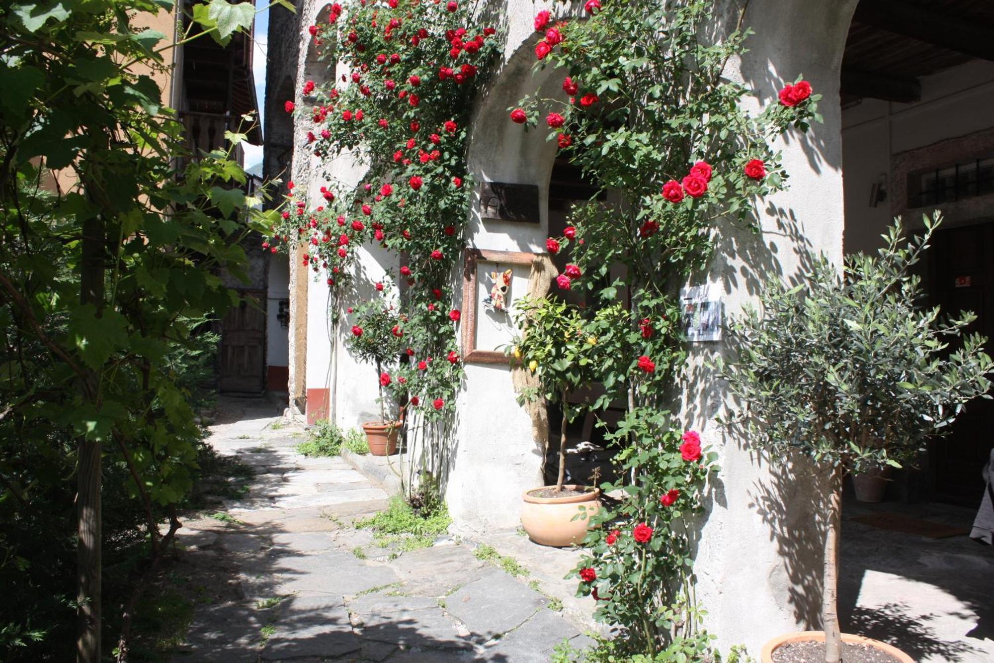 Affittacamere Casa Archi 로손 외부 사진